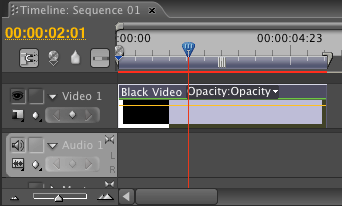 Timeline in Premiere Pro