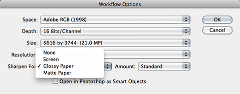 camera raw sharpening
